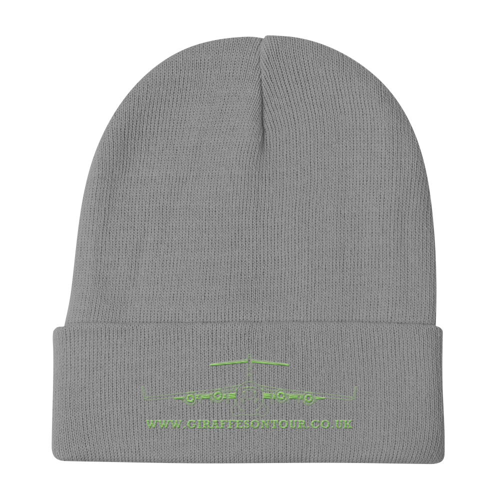 C-17 Beanie